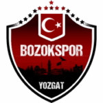 YOZGAT BELEDİYESİ BOZOK SPOR